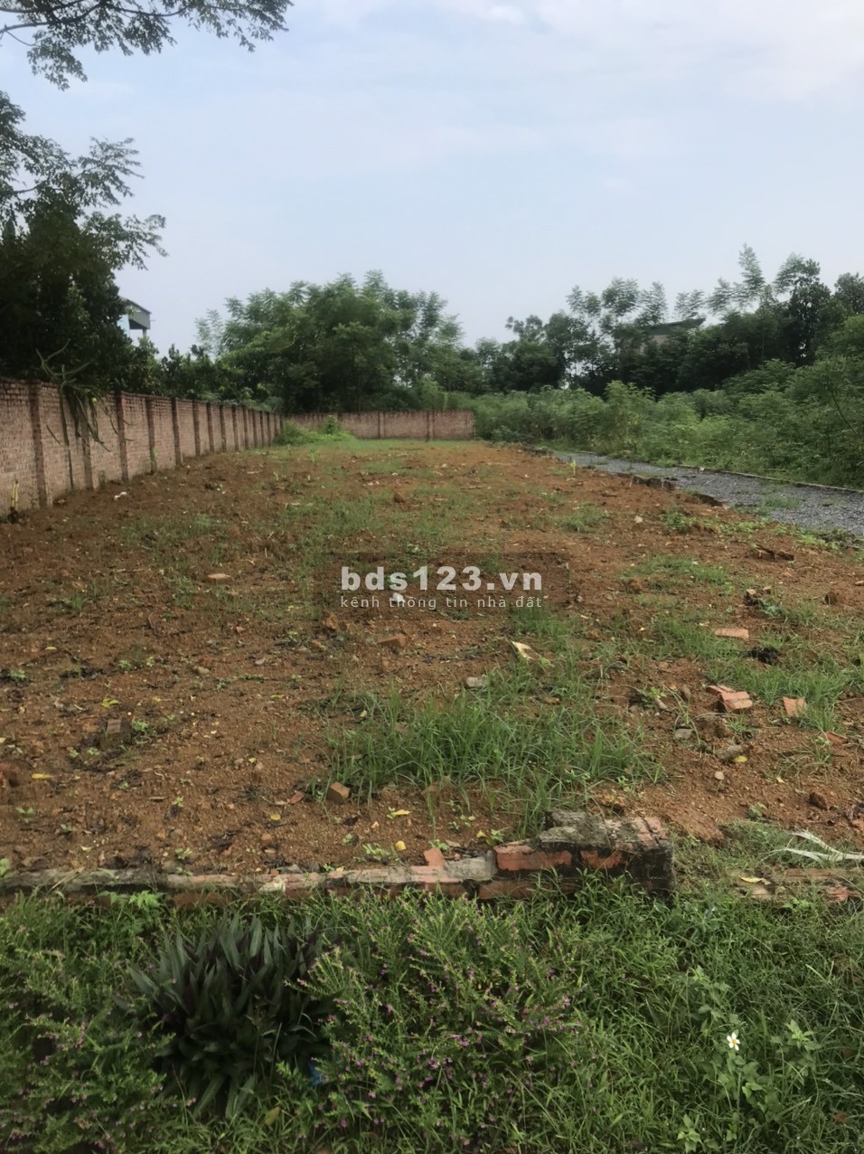 Bán Đất Chính chủ, Phân lô, Nhà vườn, Văn phòng Công ty, Nhà xưởng