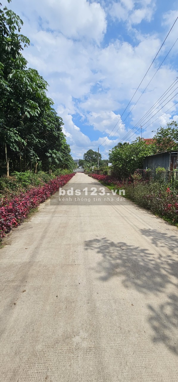 Chính chủ cần ra lô đất full thổ cư ngay trung tâm Phú Giáo 250m² chỉ 600 triệu