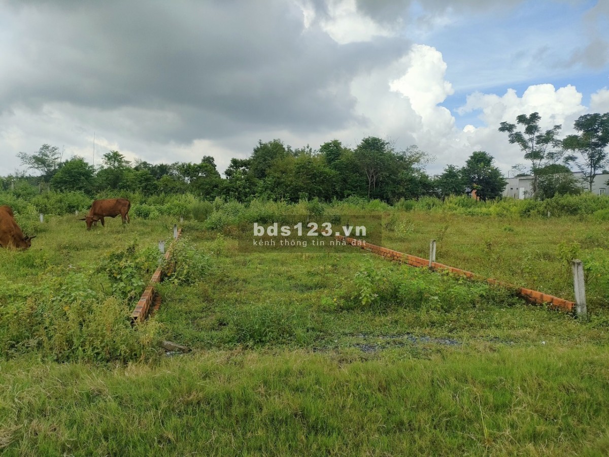 Bán gấp 2 lô đất liền kề 195m full thổ 1 sẹc đường Cây Trôm Phước Hiệp Củ Chi giá chỉ 1 tỷ nền