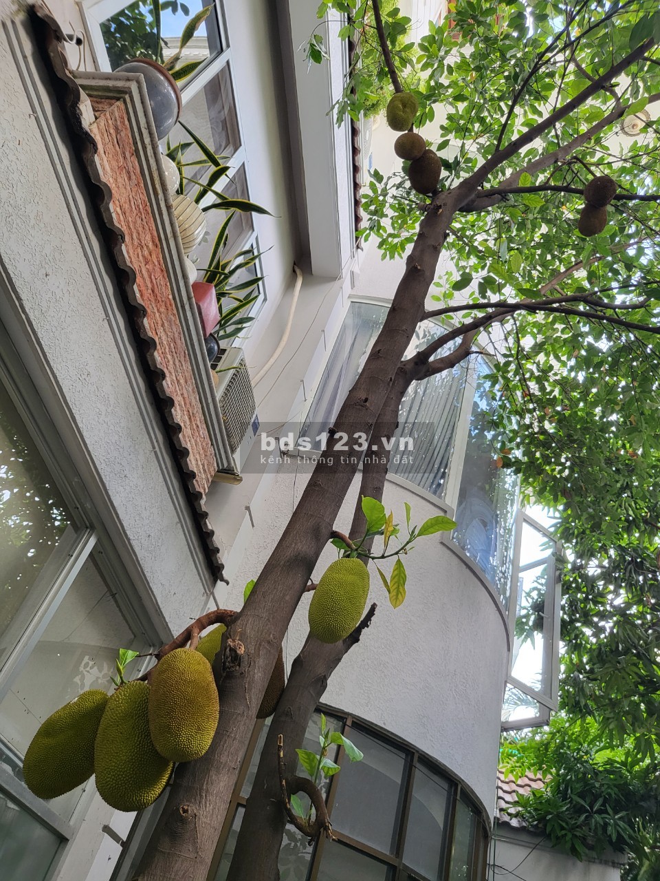 Chỉ 4,6 triệu phòng full nội thất + nhà biệt thự trung tâm Q. Bình Thạnh