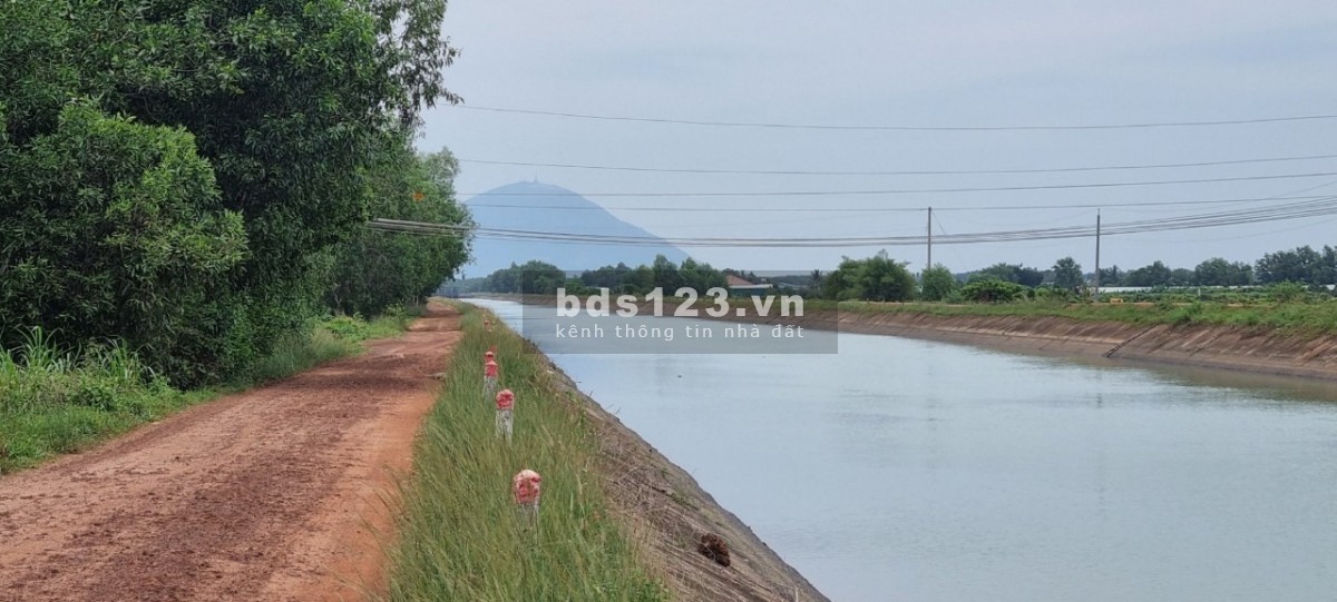 Đất view kênh xanh mát ở Gò Dầu, oto chạy vi vu – Giá 720 triệu