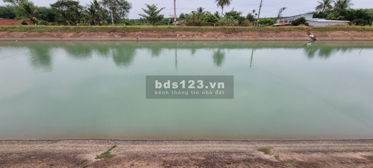 Đất view kênh xanh mát ở Gò Dầu, oto chạy vi vu – Giá 720 triệu