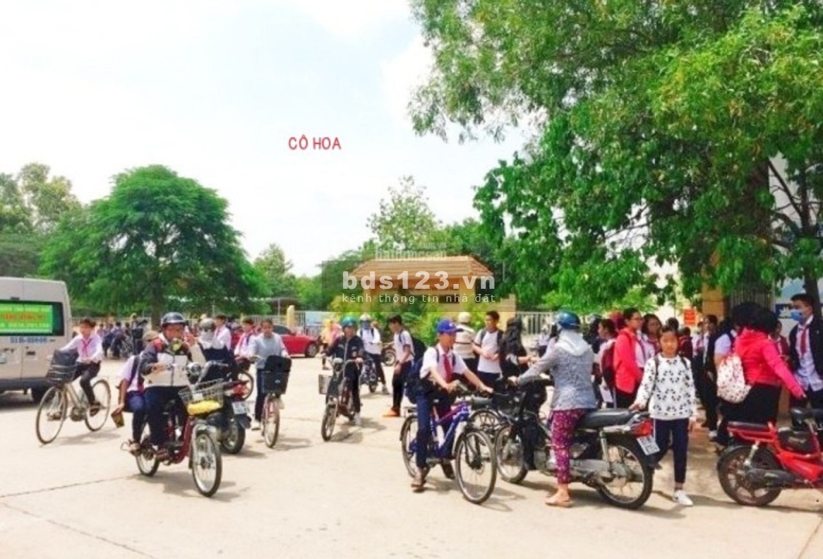 Tuổi cao về quê định cư gấp 540M2 đường nhựa ngay TT Bình Dương. Giá 1 tỷ 1.