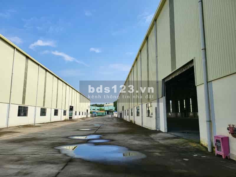 Cho thuê xưởng 5.000 m2, 7.000 m2, 9.000 m2 đến 3 ha khu vực Bến Cát, S.xuất đa nghành nghề