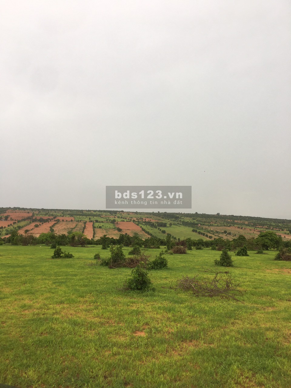 Bán lô đất gần Biển, 2 mặt tiền đường nhà nước chỉ hơn 200 triệu sở hữu lô gần nữa hecta, sổ đỏ sẵn