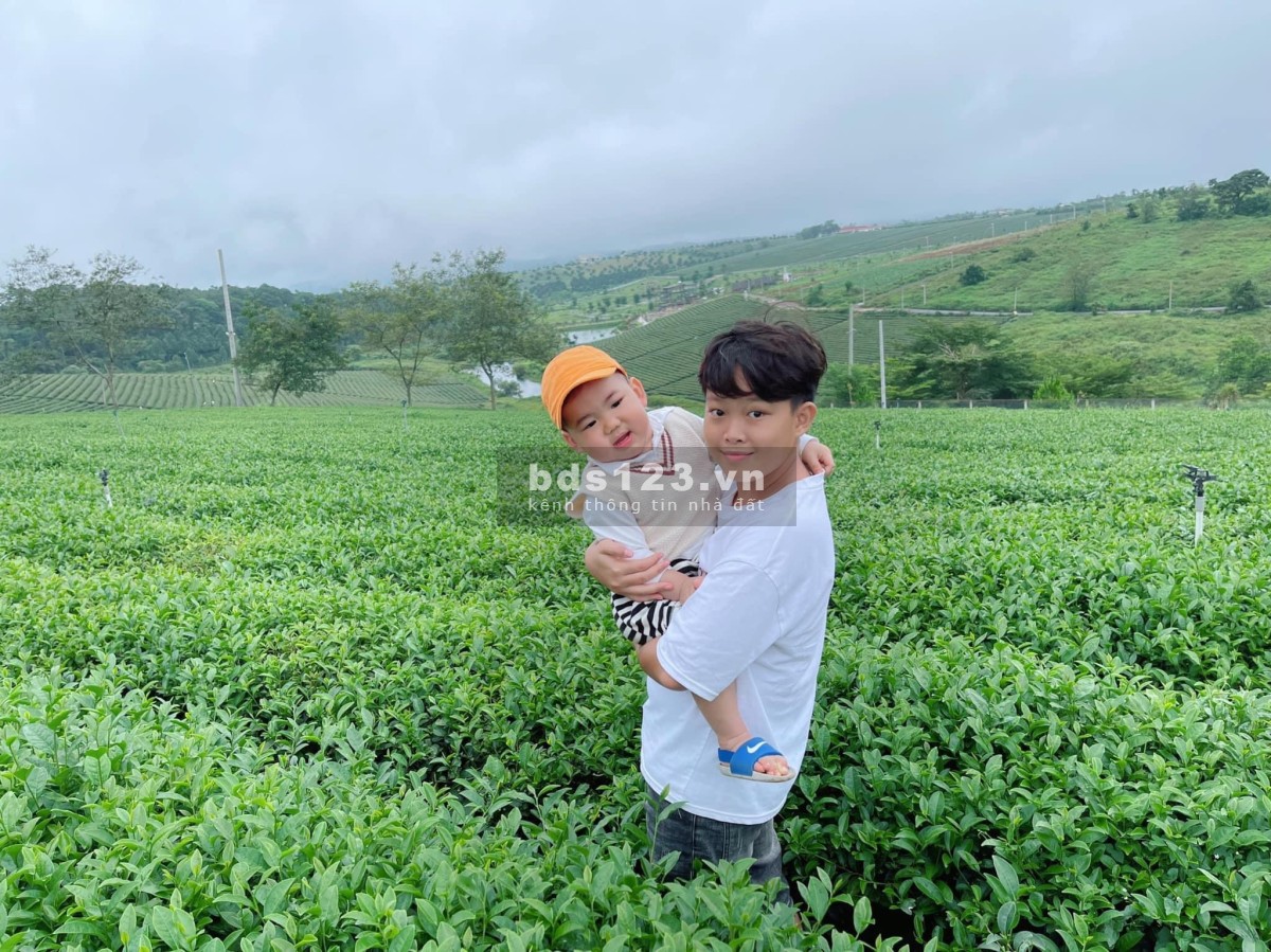Chính chủ cần bán lô đất Bảo Lộc có suối và hồ tự nhiên gần chợ gần cao tốc có sổ