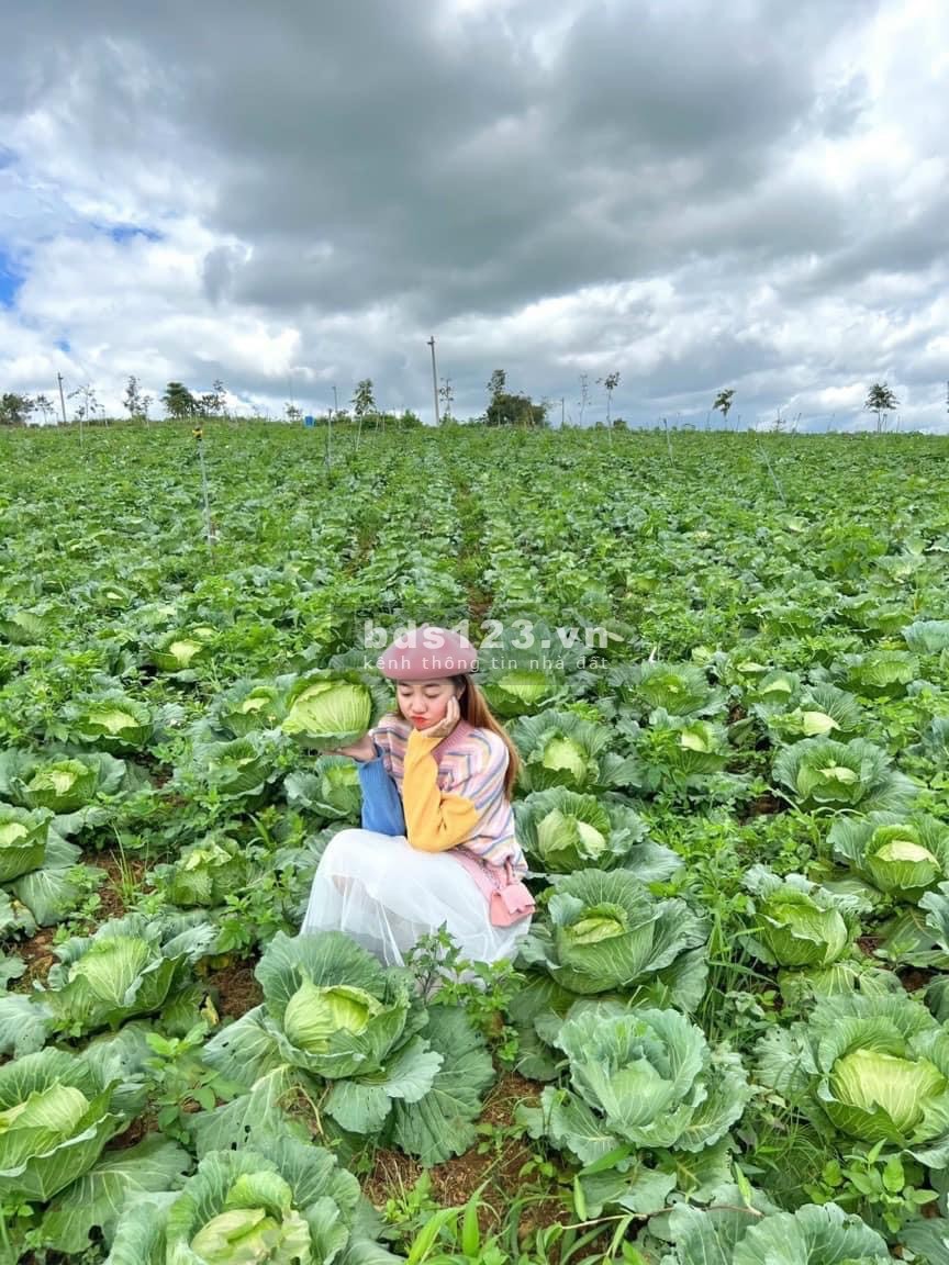 Chính chủ cần bán lô đất Bảo Lộc có suối và hồ tự nhiên gần chợ gần cao tốc có sổ