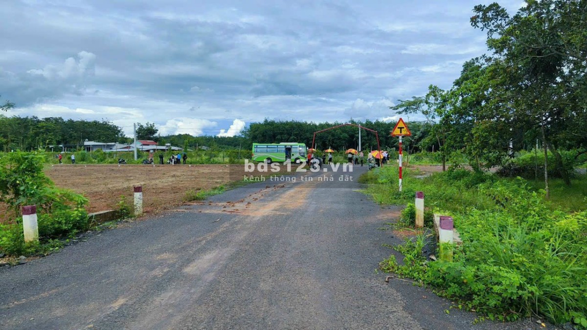 Mua đất nhận vàng đất đẹp, sổ sẵn
