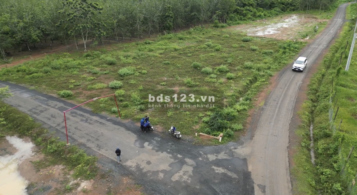 Mua đất nhận vàng đất đẹp, sổ sẵn