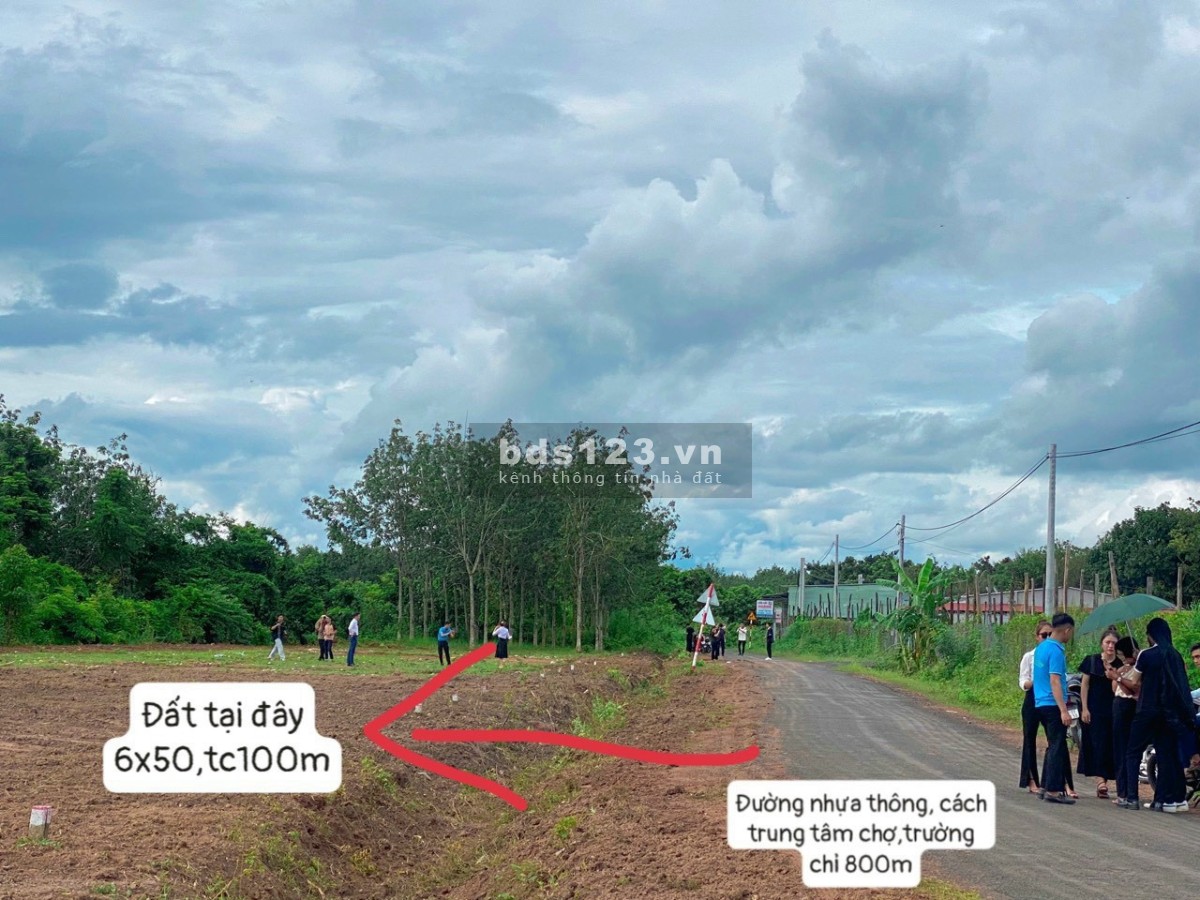 Mua đất nhận vàng đất đẹp, sổ sẵn