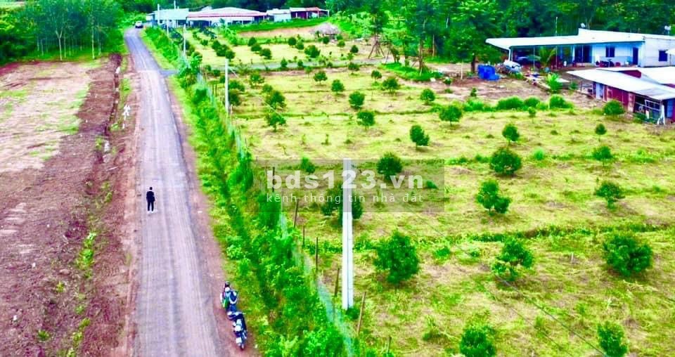 Mua đất nhận vàng đất đẹp, sổ sẵn