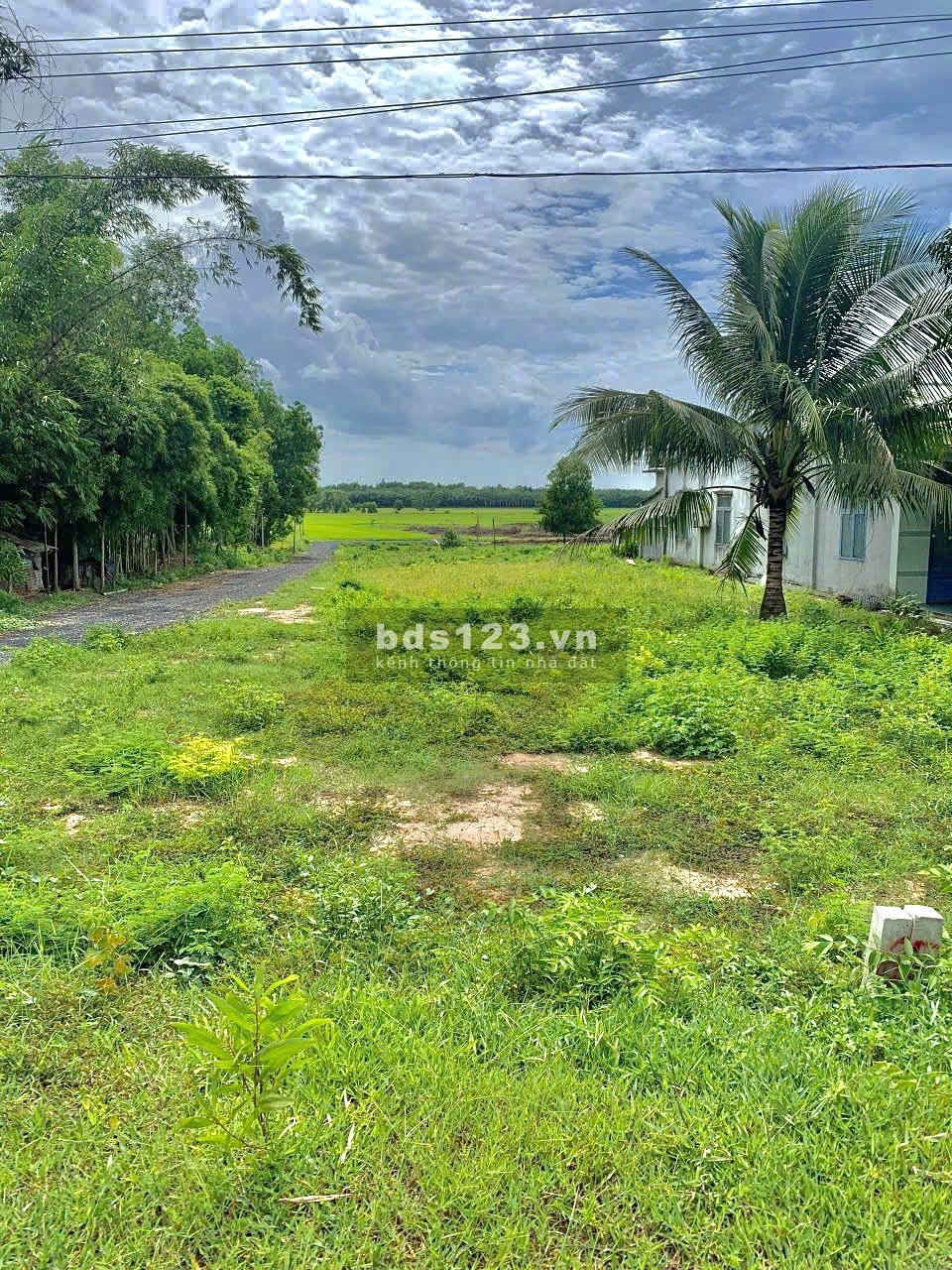 Tôi bán đất thổ cư 150m2 (5x30) sổ sẵn, đường nhựa 8 dân cư đông ngay cạnh 3 ngôi trường học