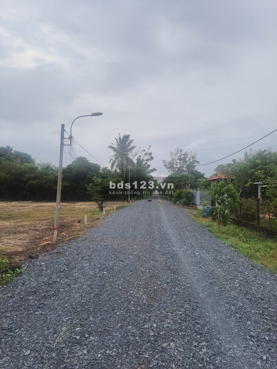 Bán 125m đất có thổ cư MT Nguyễn Thị Thạo, Phước Hiệp, Củ Chi giá chỉ 1 tỷ390