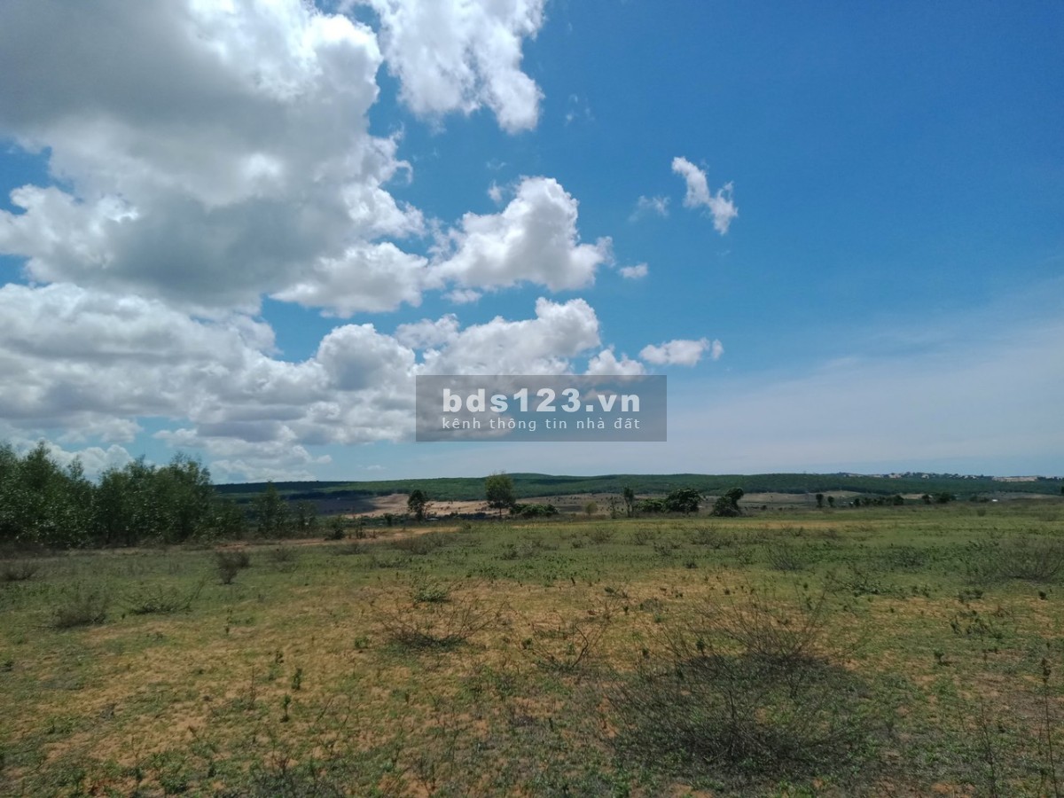 Đất gần KDL Safari chờ xây đường giá ngợp, không dính quy hoạch, sổ sẵn chỉ 69k/m², 110m mặt đường