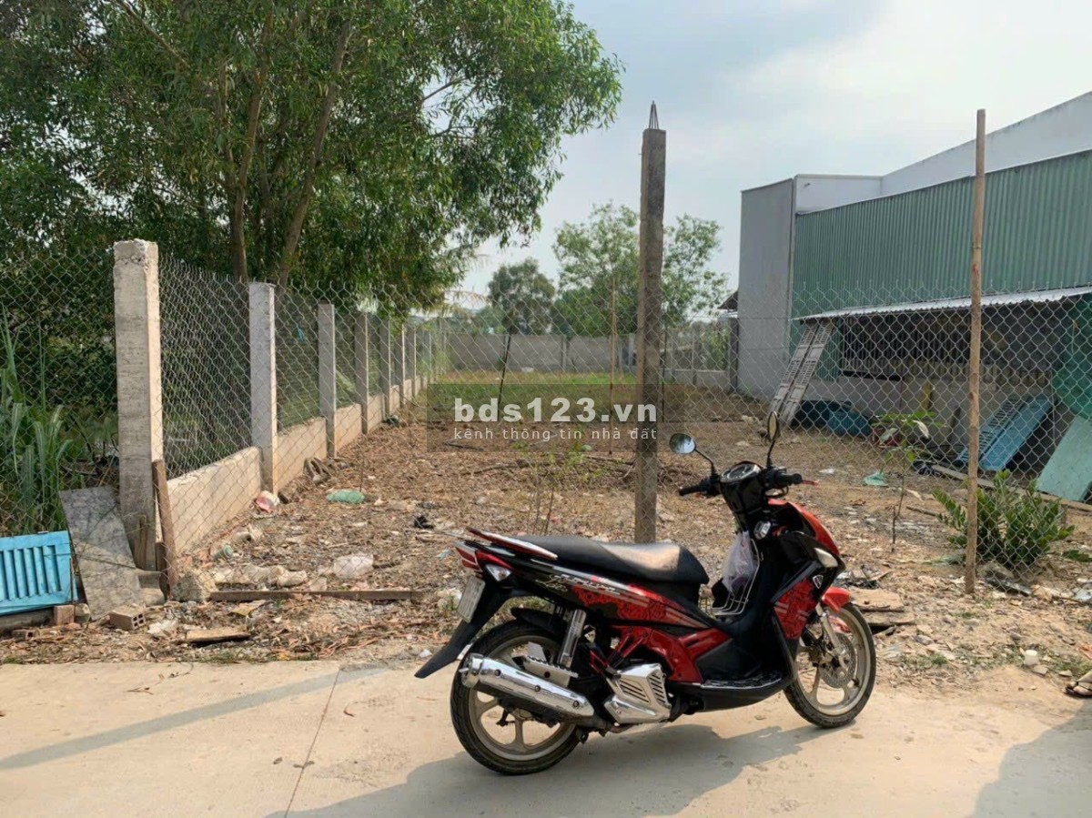 Bán 130m2 thổ cư chỉ 560tr ở Hồ Thị Lai,Tân Phú trung, Củ chi, SHR