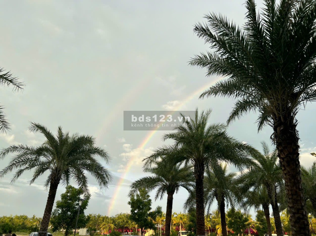 Căn hộ Studio tại khu đô thị biển Thanh Long Bay. Cam kết mua lại với lợi nhuận 8%/năm từ CĐT.