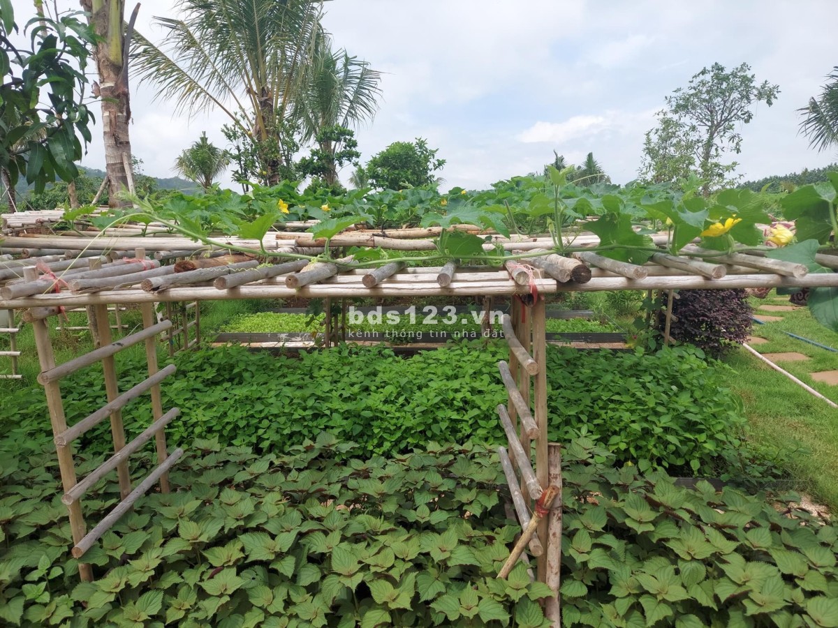 Siêu phẩm "độc tôn" QL20, chỉ 10 nền đất cam kết lợi nhuận 20%