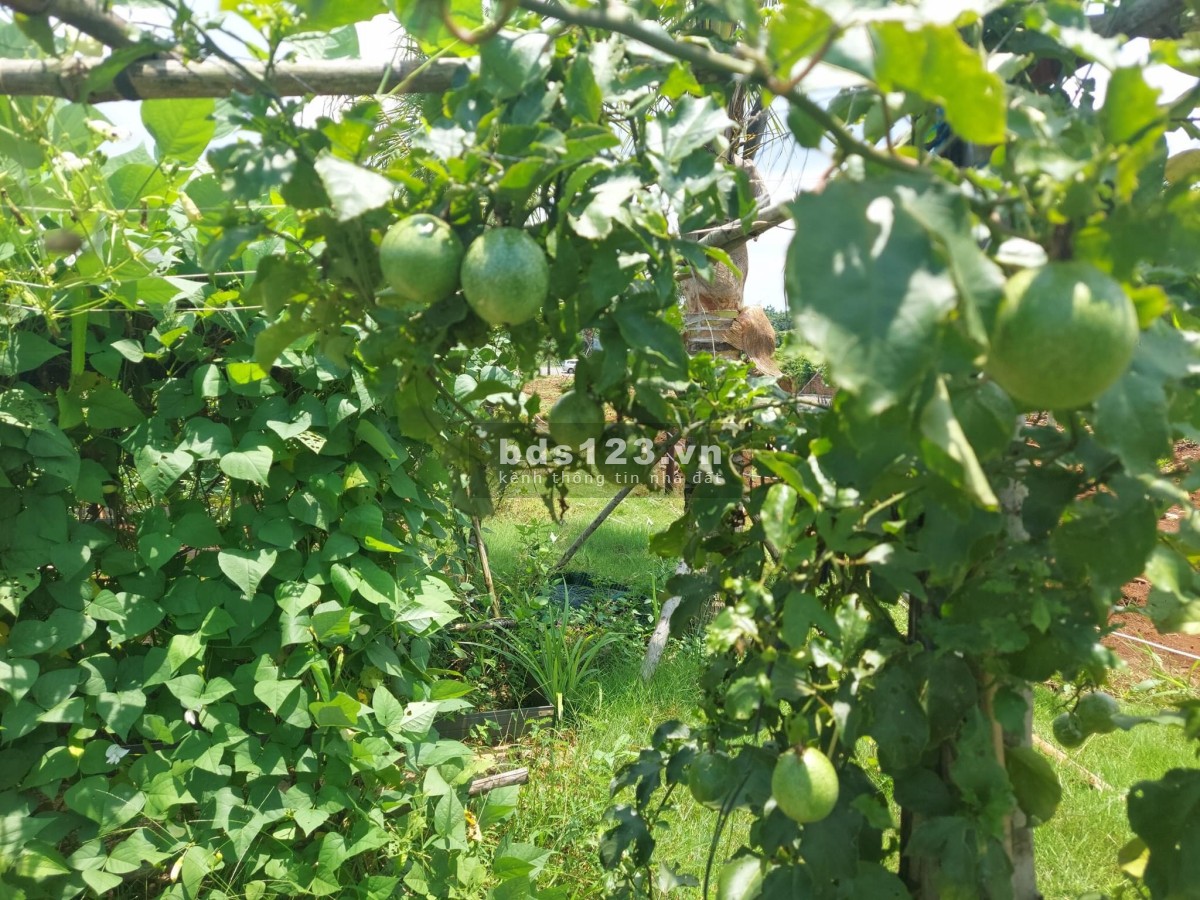 Siêu phẩm "độc tôn" QL20, chỉ 10 nền đất cam kết lợi nhuận 20%