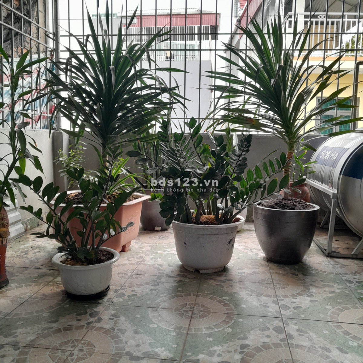 Chính chủ cho thuê: Nhà có diện tích 38m2 x 4.5 tầng