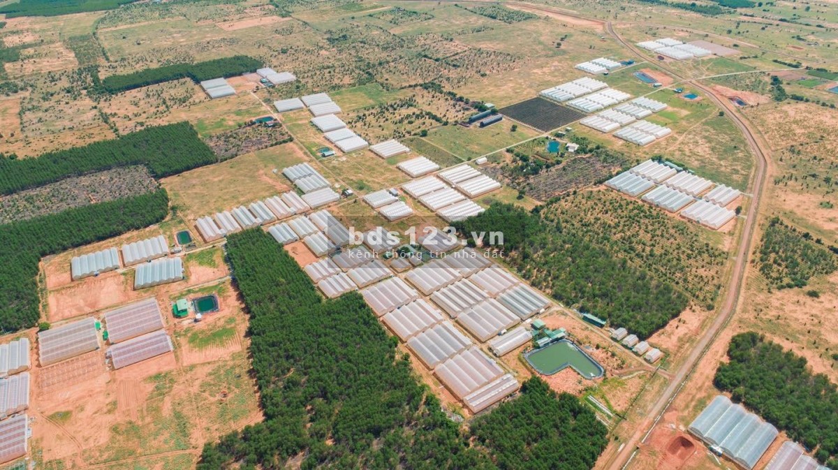 ️Chính chủ cần tiền gả gấp mảnh đất vườn liền kề khu farmtasy