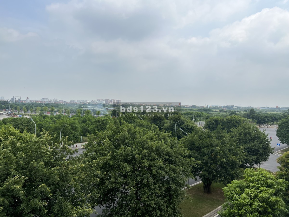 Shophouse Hà Nội 196m2 đường 52m hoàn thiện có thang máy giá 32.8 tỷ Vin Gia Lâm 0985 941715