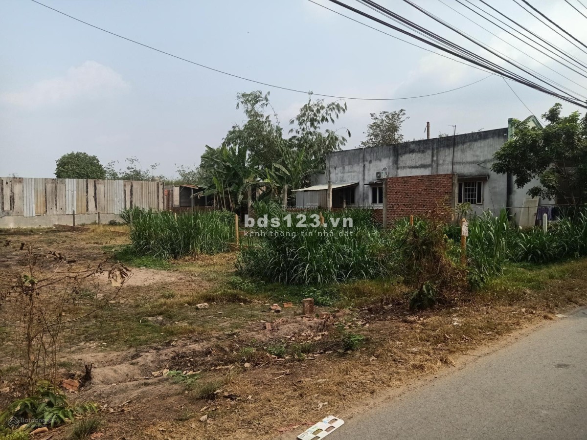 Ra gấp lô đất 172m2 full 100% thổ cư Đường Cao Thị Bèo Phước Hiệp Củ Chi giá 1 tỷ150