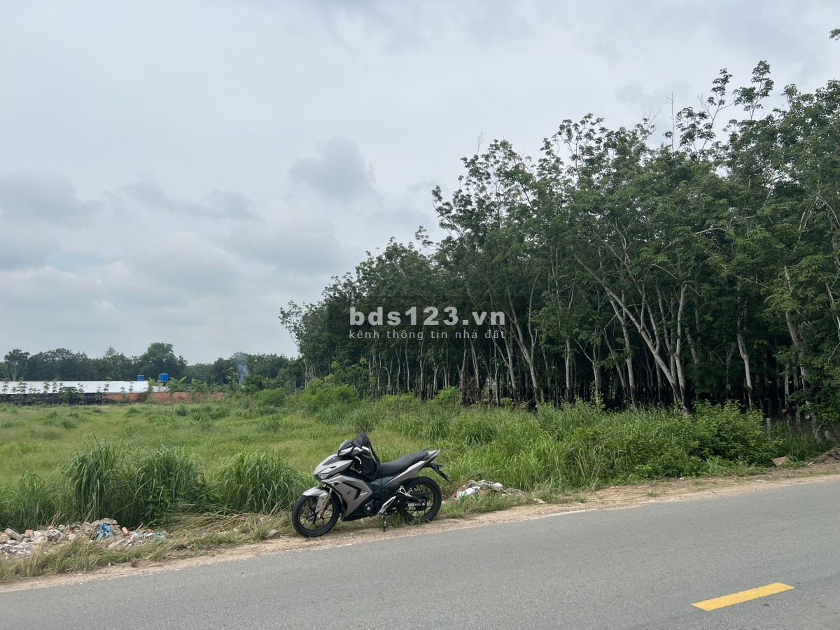 Cần bán 540m² đất thị xã Bến Cát, thổ cư 80m, đường ô tô, thích hợp làm kho, bãi