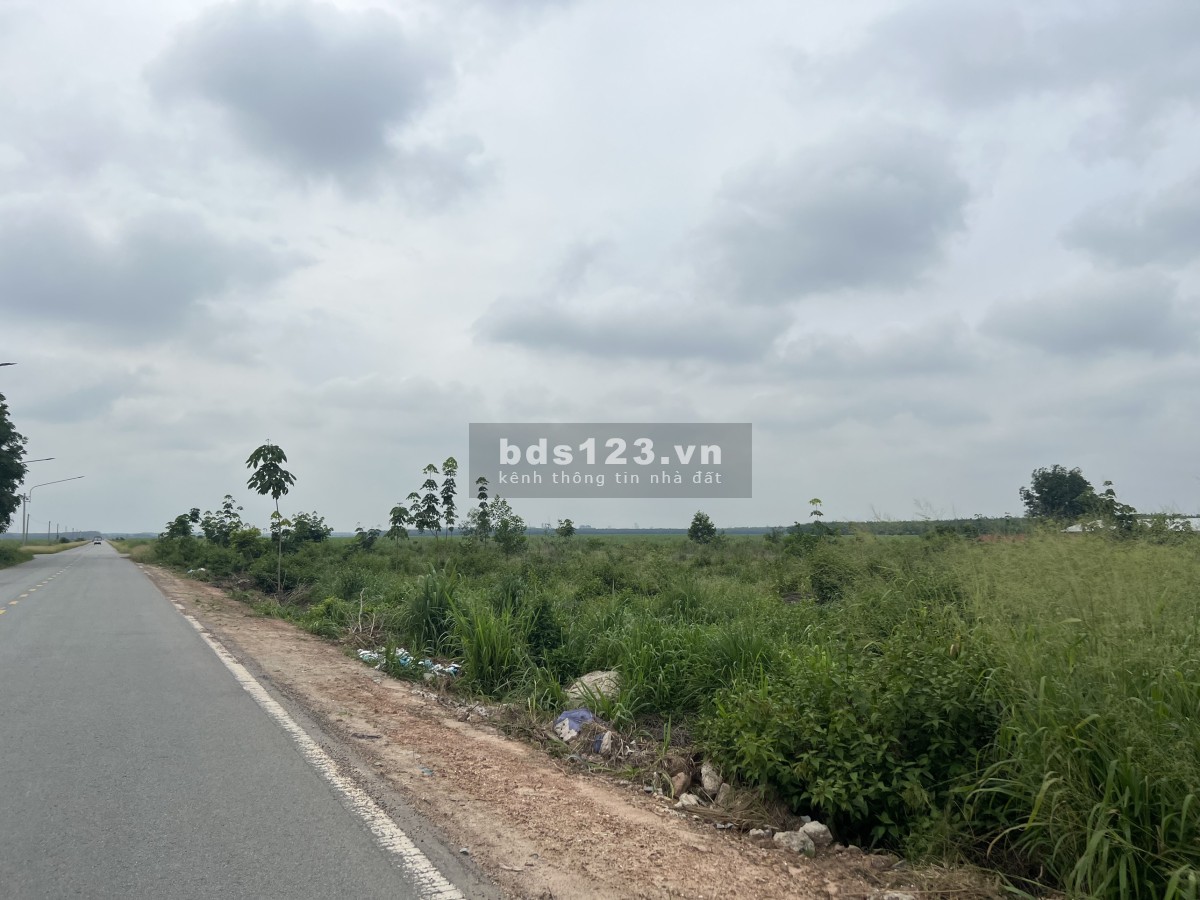 Cần bán 540m² đất thị xã Bến Cát, thổ cư 80m, đường ô tô, thích hợp làm kho, bãi