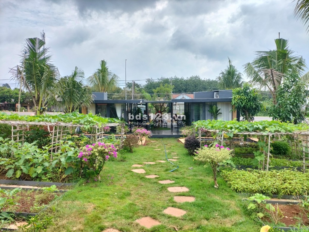Bán đất nhà vườn nghĩ dưỡng 1000m2 (10x100) – chỉ 1,4tr/m2. Túc Trưng, Định Quán, Đồng Nai.
