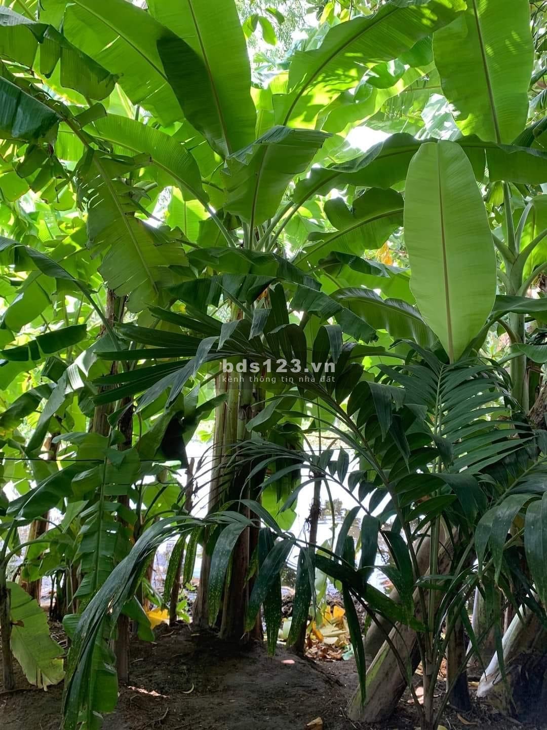 Bán nhanh nhà rộng 120m2 tại trung tâm TP Phan Thiết