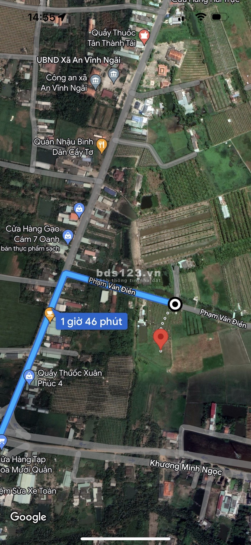 Bán đất vườn đẹp, đang trồng Lộc vừng Tân An Long An