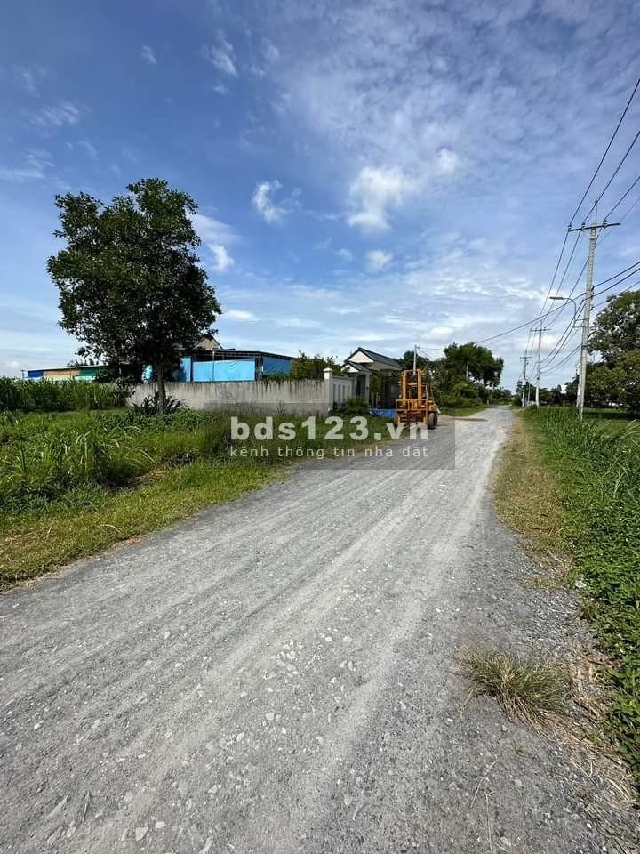 363m2 đất thổ SHR bán gấp 500 triệu đường Trà Võ Đất Sét, Thạnh Đức, Gò Dầu.