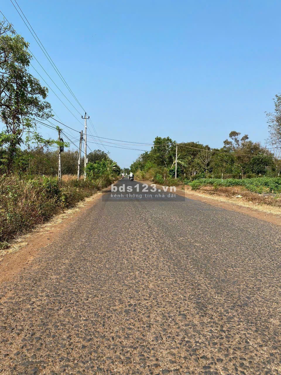 Giá ngợp 400triệu 400m2 đất vườn SHR ấp Phước An, Phước Thạnh, Gò dầu.