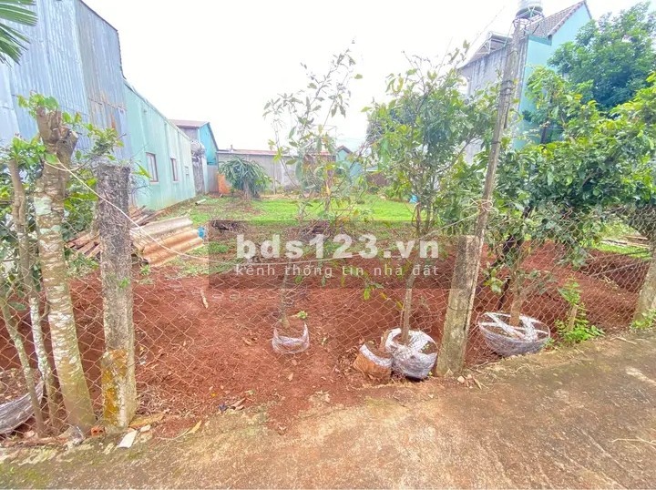 Chủ ngợp giá tốt 580 triệu 195m2 đất thỏ SHR đường 409, Phước Vĩnh An, Củ Chi.