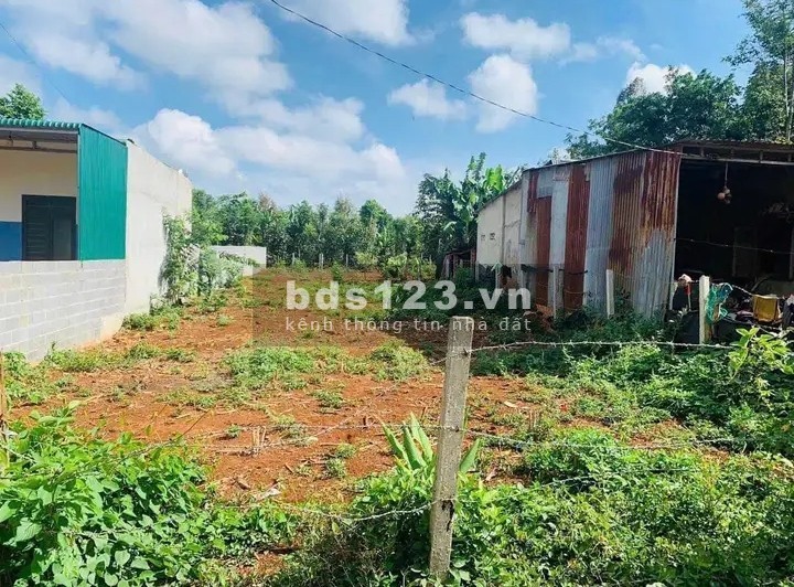 Cần ra nhanh lô đất thổ 151m2 590tr, SHR đường Nguyễn Thị Hé, Tân Thông Hội, Củ Chi.