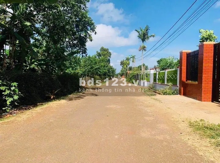 Cần ra nhanh lô đất thổ 151m2 590tr, SHR đường Nguyễn Thị Hé, Tân Thông Hội, Củ Chi.