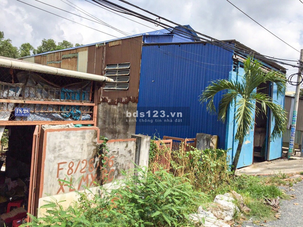 Chính chủ cho thuê xưởng 8m x 75m & văn phòng 20 triệu