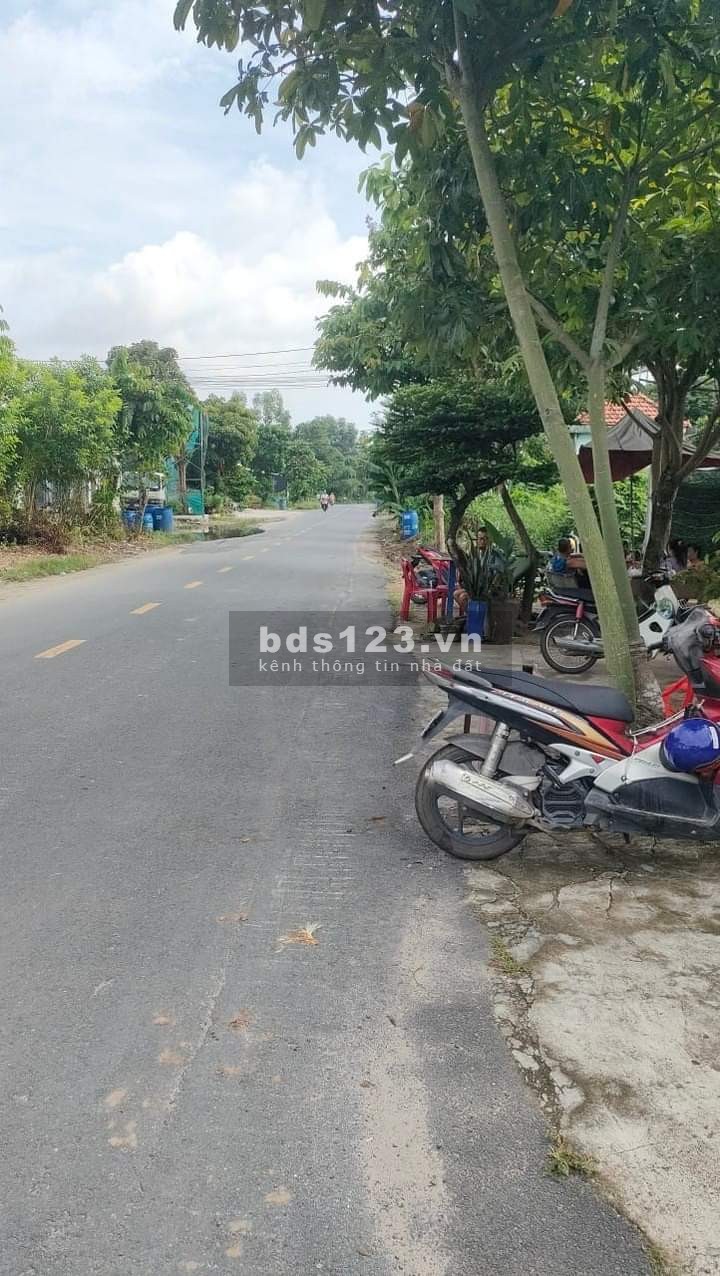213m2 cần bán nhanh giảm sâu còn 610 triệu đường Bàu Tre, Tân An Hội, Củ Chi.