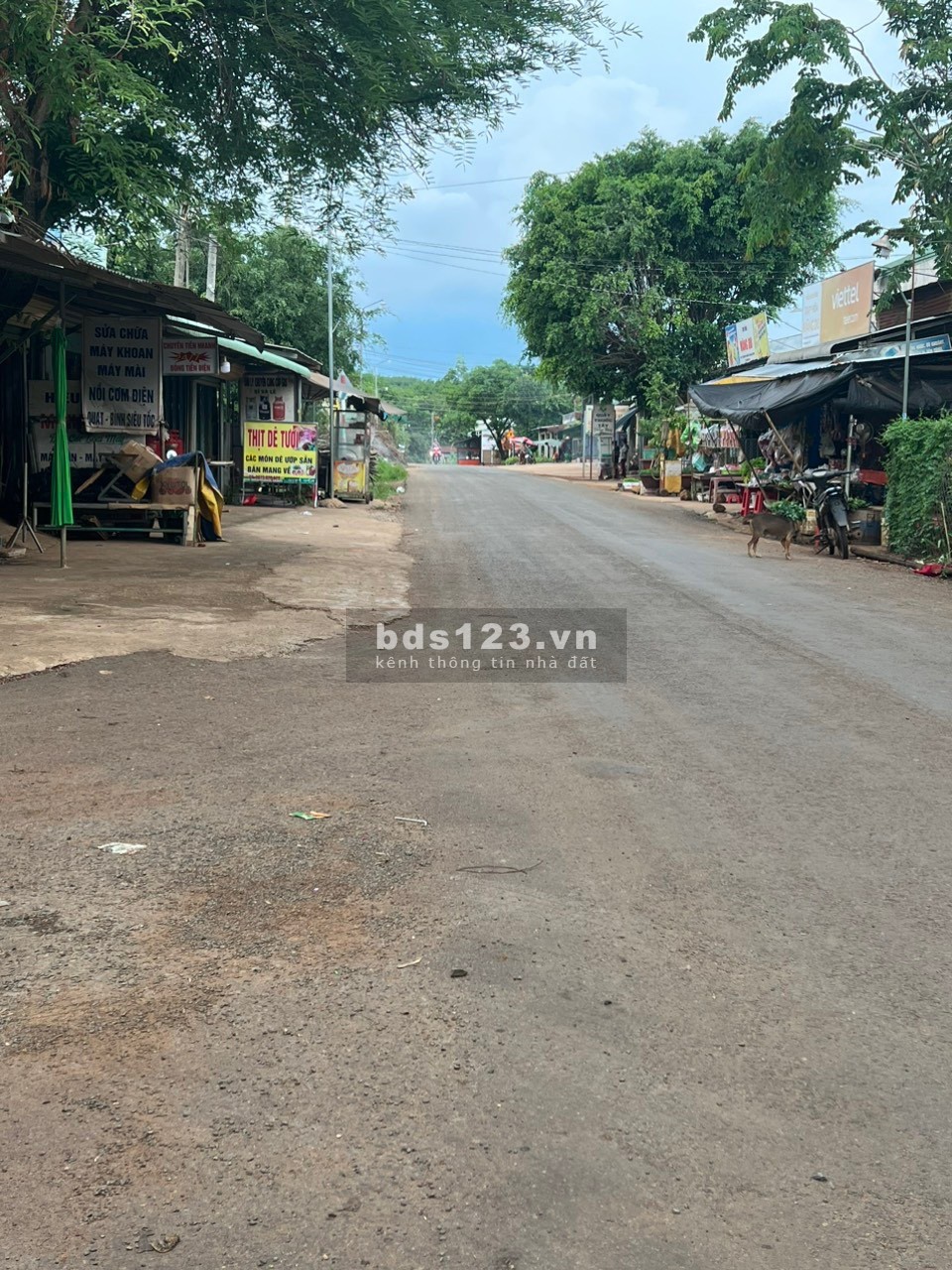 Năm ngoái tôi có mua miếng 2000m² đất định về làm nhà vườn, nhưng nay kẹt quá cần bán nhanh