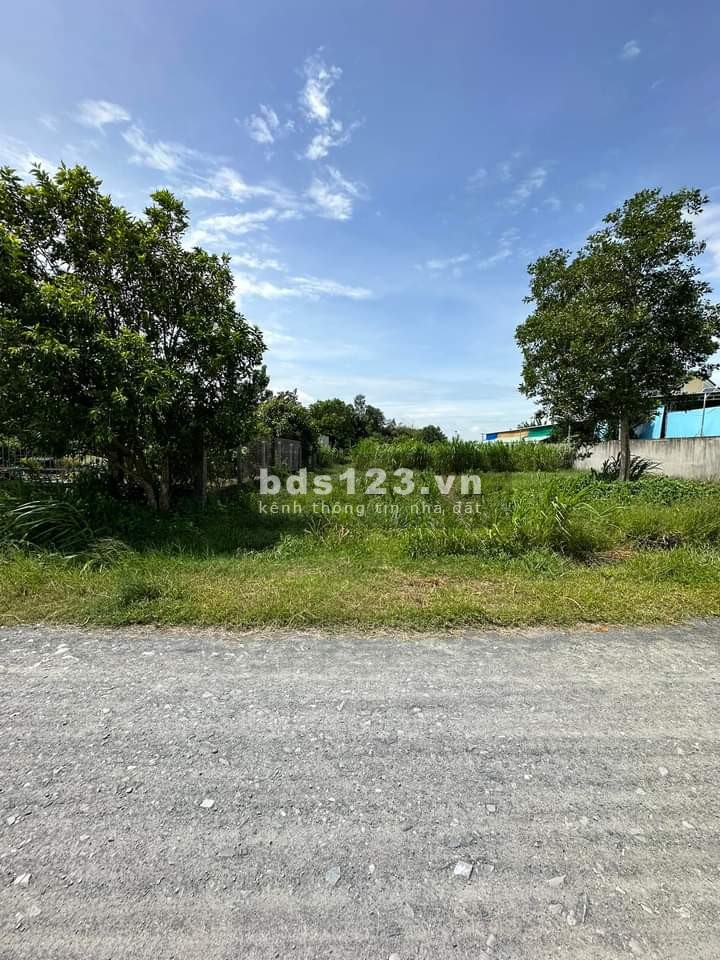 363m2 đất thổ SHR bán gấp 500 triệu đường Trà Võ Đất Sét, Thạnh Đức, Gò Dầu.
