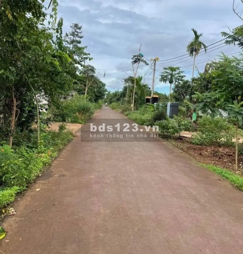 Chủ ngợp giá tốt 580 triệu 195m2 đất thỏ SHR đường 409, Phước Vĩnh An, Củ Chi.