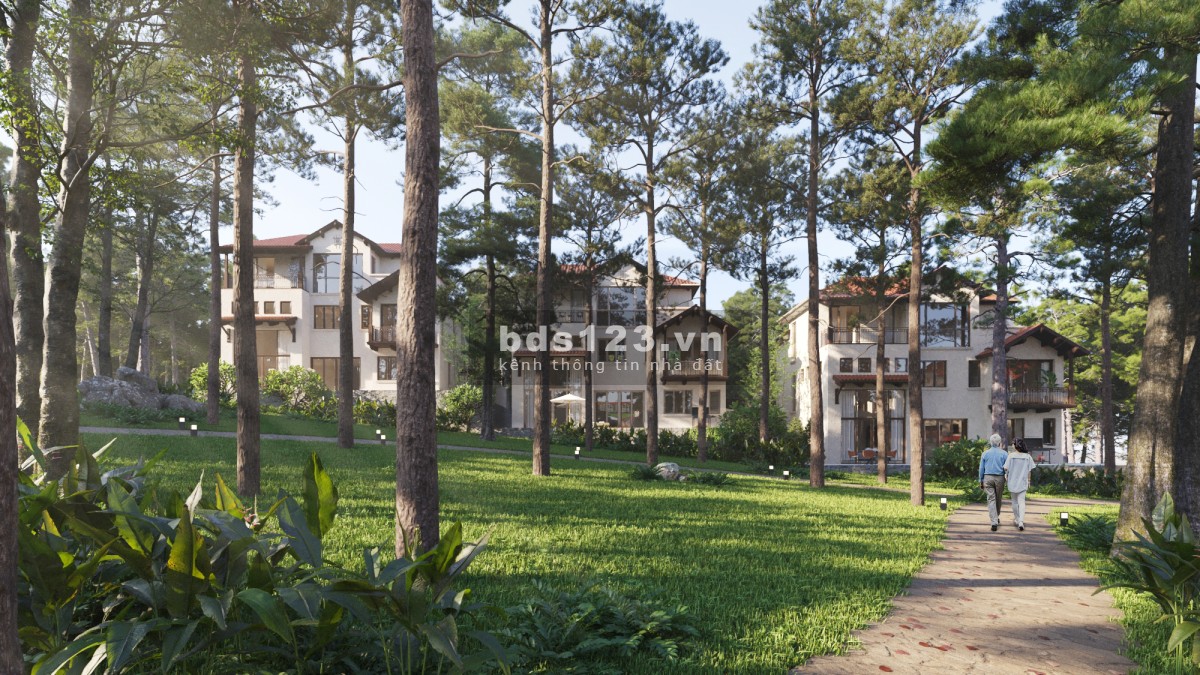 Biệt Thự Thung Lũng Thanh Xuân-ValleyHome Reo Thông Trên Mái Nhà-Chính Sách Ưu Đãi Chiết Khấu Tới17%