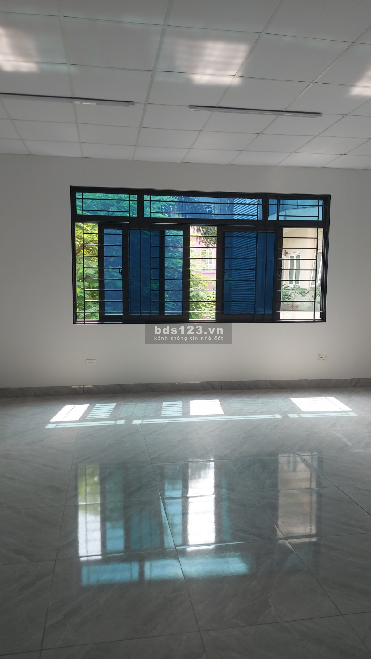 Cho thuê tòa nhà Võng Thị siêu đẹp