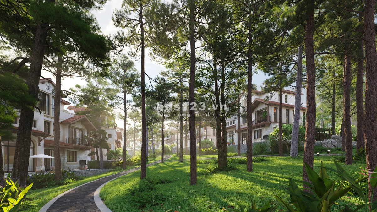Biệt Thự Thung Lũng Thanh Xuân-ValleyHome Reo Thông Trên Mái Nhà-Chính Sách Ưu Đãi Chiết Khấu Tới17%
