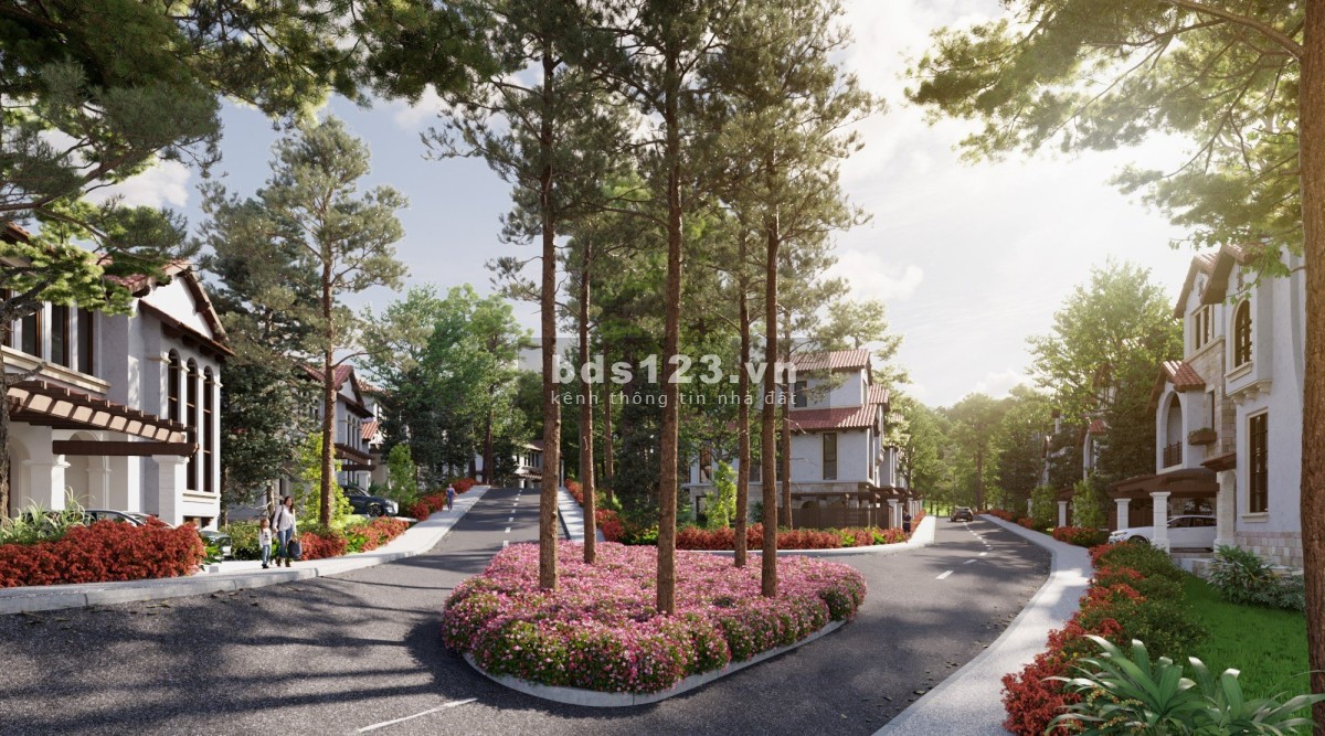 Biệt Thự Thung Lũng Thanh Xuân-ValleyHome Reo Thông Trên Mái Nhà-Chính Sách Ưu Đãi Chiết Khấu Tới17%