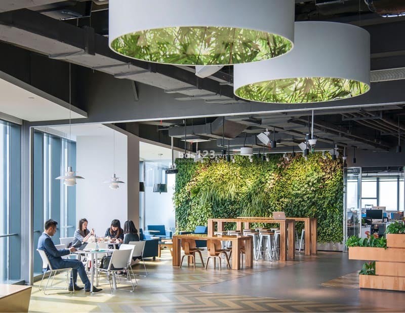 Văn phòng xanh mang đến không gian làm việc năng động cho nhân viên