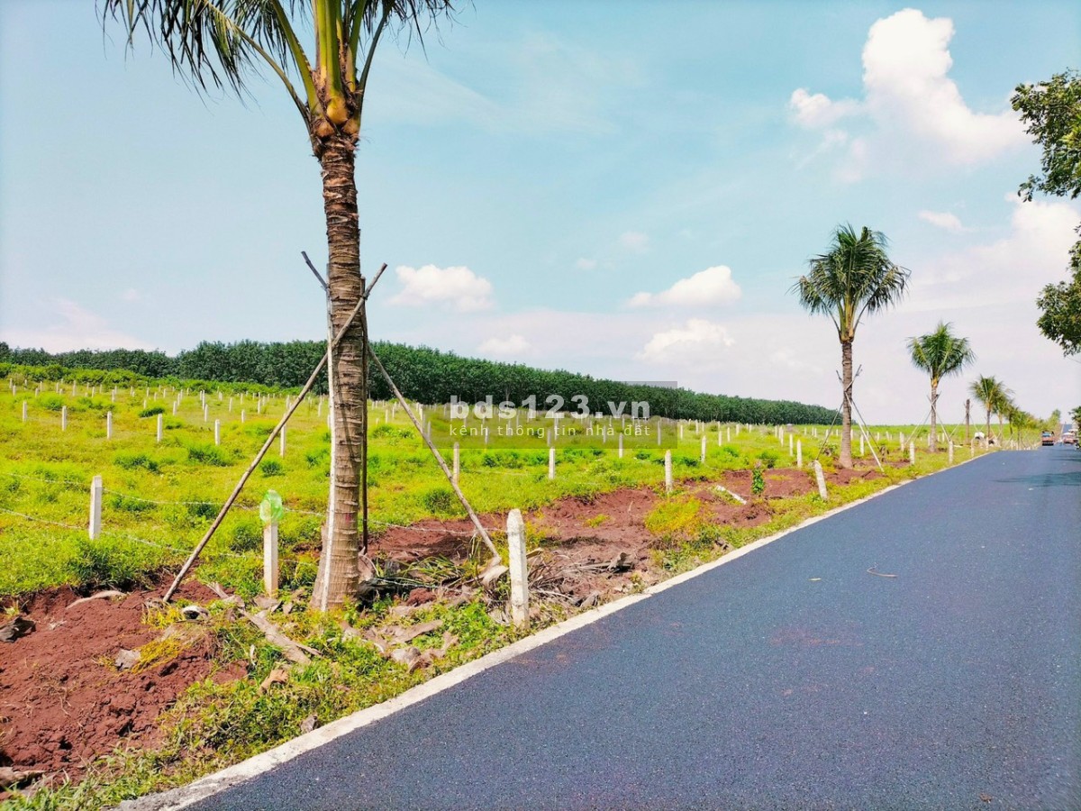Bán 2000m2 đất CLN, 200m2 thổ cư, MT quốc lộ 20, đầy đủ tiện ích.