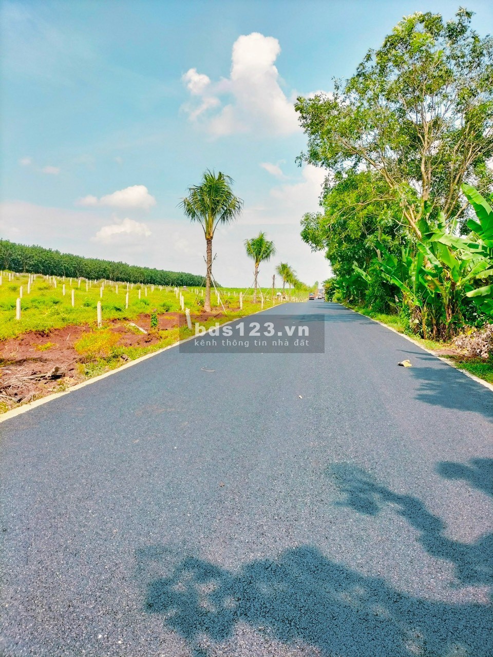 Bán 2000m2 đất CLN, 200m2 thổ cư, MT quốc lộ 20, đầy đủ tiện ích.