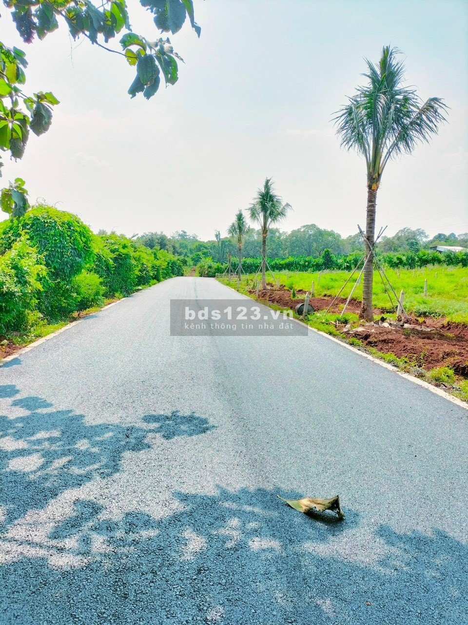 Bán 2000m2 đất CLN, 200m2 thổ cư, MT quốc lộ 20, đầy đủ tiện ích.