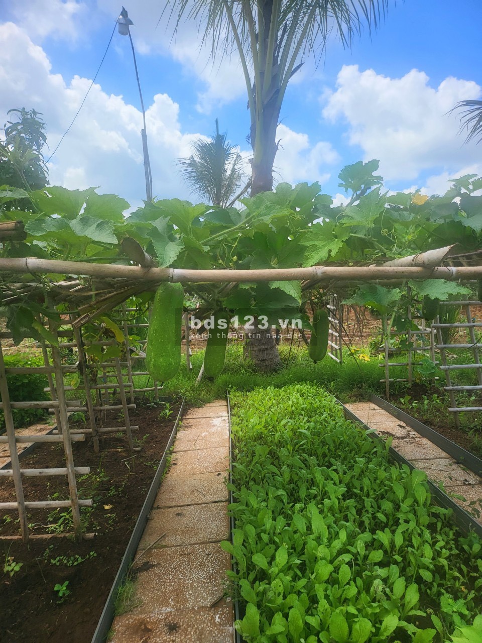 Bán 2000m2 đất CLN, 200m2 thổ cư, MT quốc lộ 20, đầy đủ tiện ích.